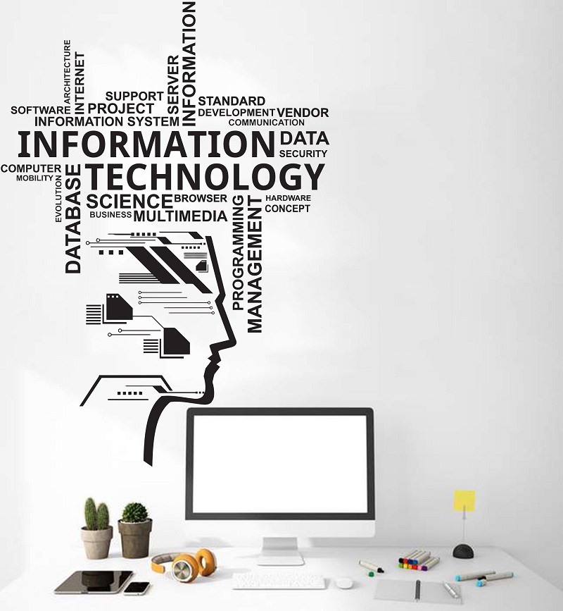 ข้อมูลเทคโนโลยีไวนิล Wall Deca - Information Technology Officer บทวิจารณ์และราคา